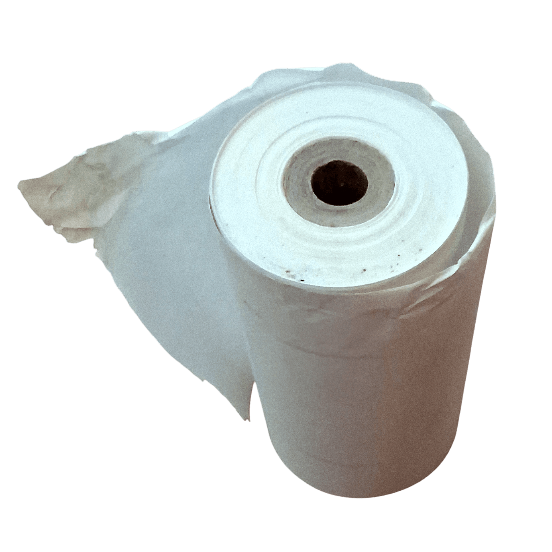 Paper roll